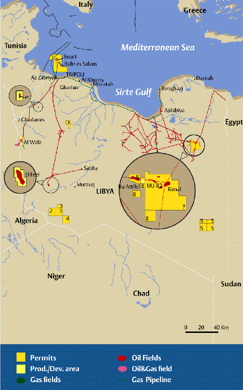  Map Fields